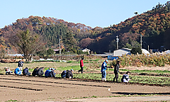 野菜コースでタマネギの定植を行いました。